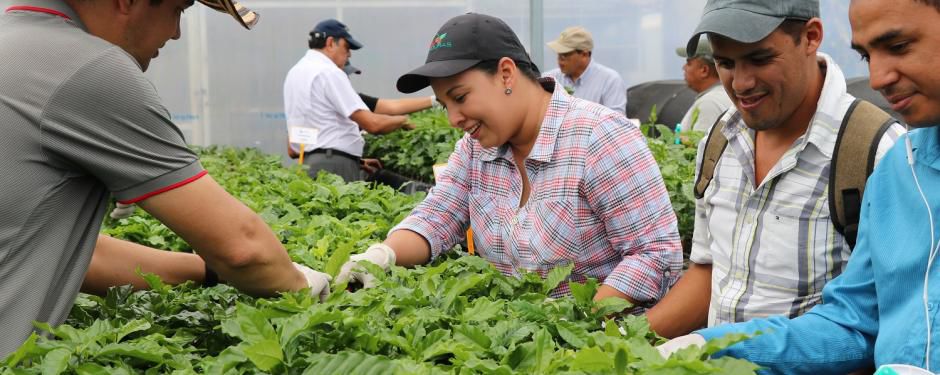 Food farmers